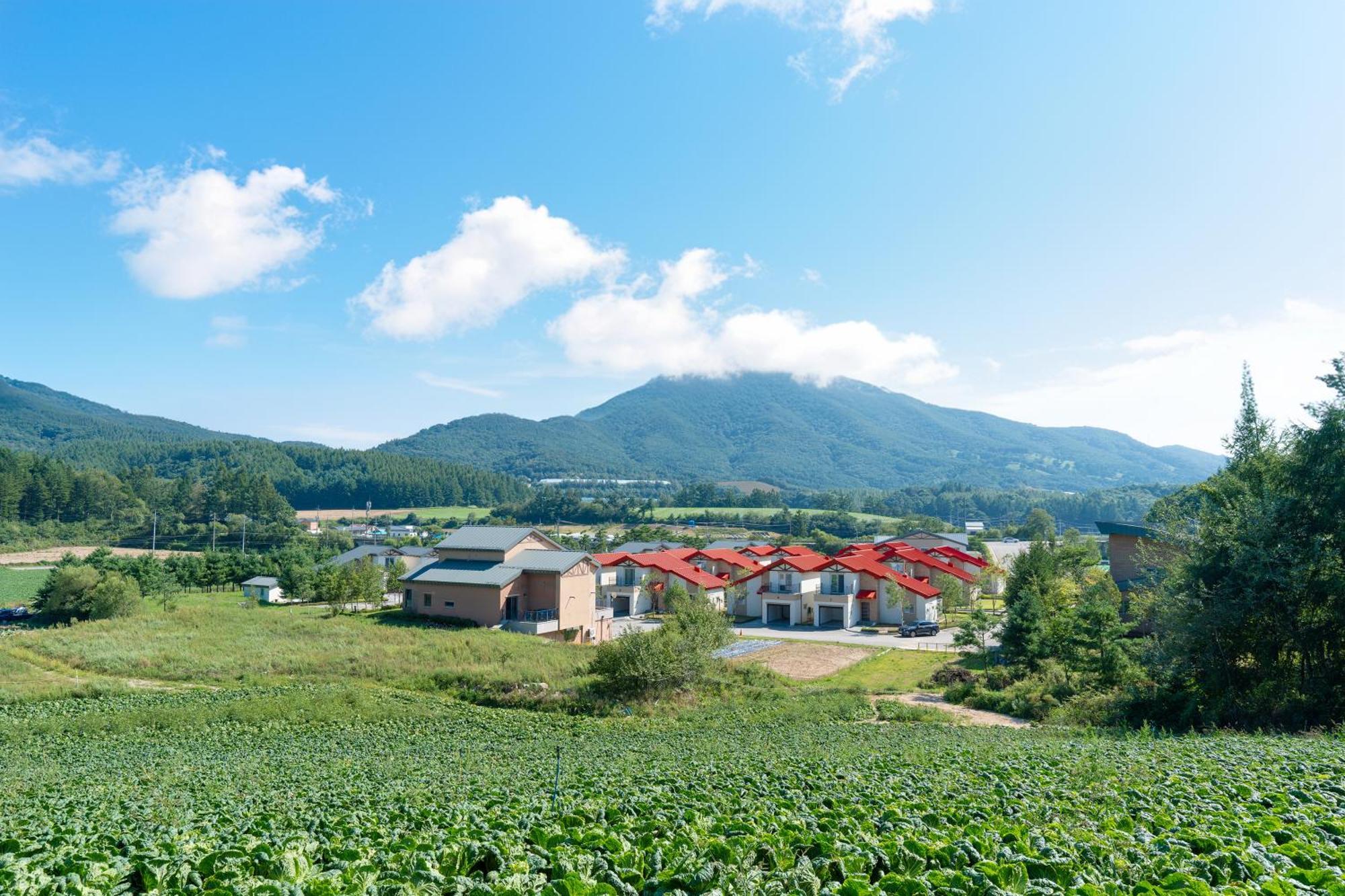 Le Comte Bleu Hotell Pyeongchang Exteriör bild